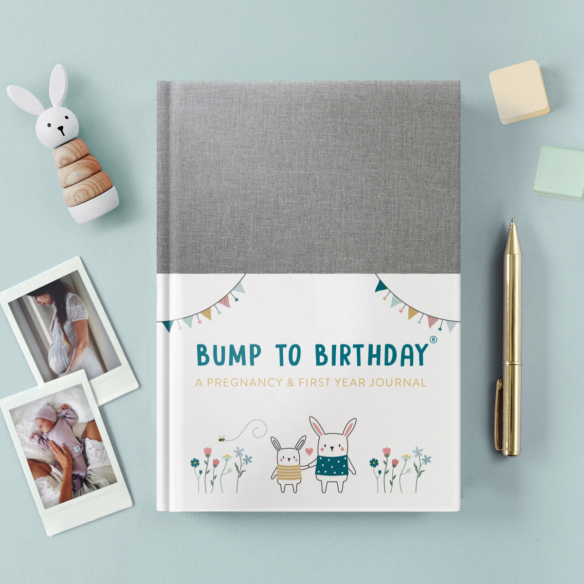  What The Bump Wants The Bumps Gets : My pregnancy journal,  Pregnancy Planner and Organizer Book, form Bump to Birthday, Pregnancy &  First Year Baby  Journal, Pregnancy & First Year