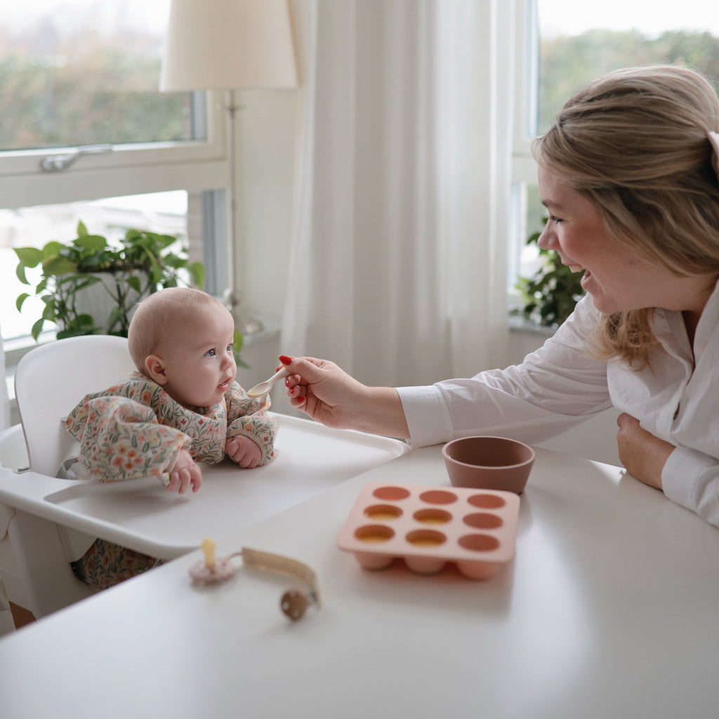 Baby Food Freezer Tray